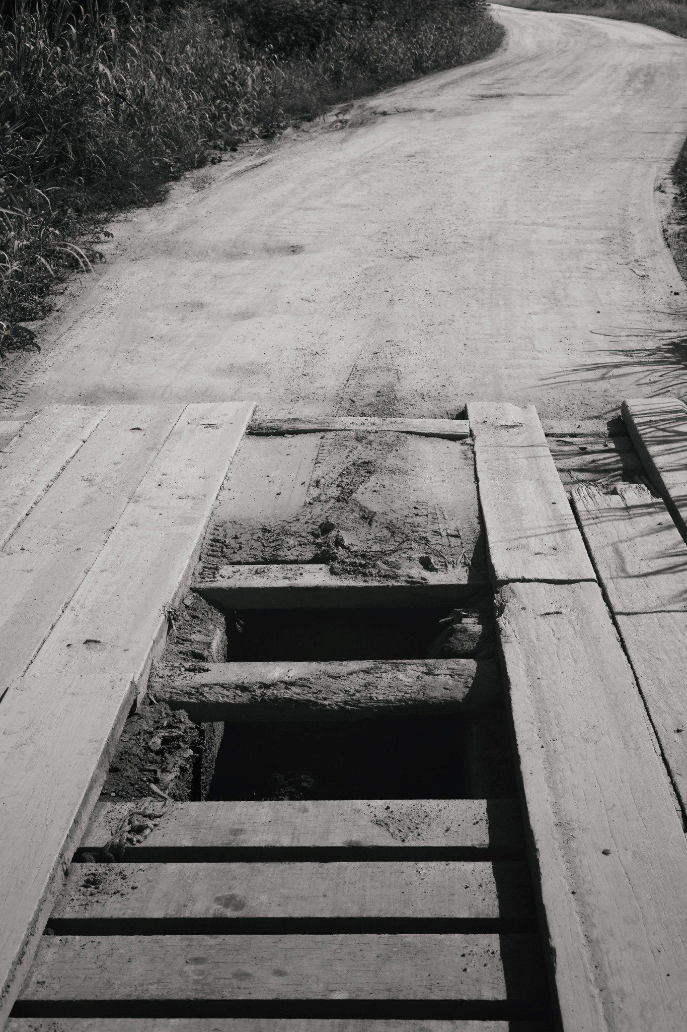 BR-319
